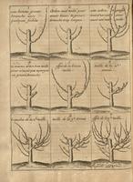 Instrucion pour les Jardins Fruitiers et Potagers II - Fig.10