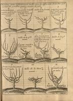 Instrucion pour les Jardins Fruitiers et Potagers II - Fig.07