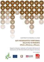 Contributo di Ricerca 311/2020. Esiti paesaggistico-territoriali della PAC in Piemonte. Effetti, efficienza, efficacia