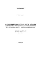 Il possibile ruolo degli istituti di cultura italiani all'estero nella promozione del nuovo Museo egizio di Torino e del circuito delle Residenze sabaude : Close(d) to meet you. Seconda fase