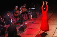 Andalusia: flamenco gitano