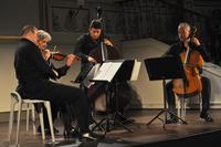 Quartetto d'Archi di Torino e il contrabbassissta Paolo Borsarelli nell'aula del Senato di Palazzo Madama