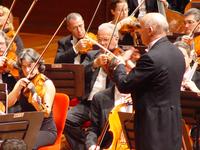 Orchestra del Teatro Regio di Torino diretta da Pinchas Steinberg