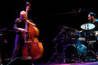 Avishai Cohen New Trio