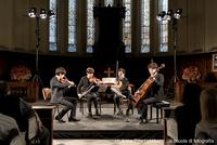 Il Novus String Quartet per MITO Settembre Musica 2017