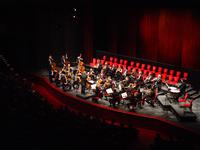 Orchestre des Champs-Elysées Collegium Vocale Gent. Philippe Herreweghe, direttore