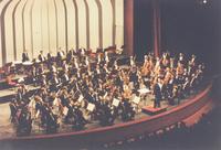Wiener Philharmoniker diretta da Riccardo Muti al Teatro Regio