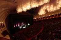 Concerto di Paolo Conte