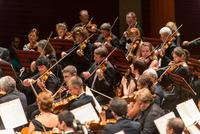 Orchestra Filarmonica di Novosibirsk diretta da Gintaras Rinkevicius