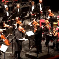 Budapest Festival Orchestra Iván Fischer direttore