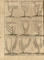 Instrucion pour les Jardins Fruitiers et Potagers II - Fig.01