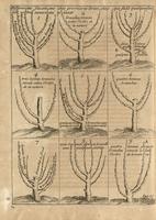 Instrucion pour les Jardins Fruitiers et Potagers II - Fig.02