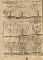 Instrucion pour les Jardins Fruitiers et Potagers II - Fig.05