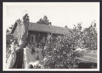 Feste in onore della Madonna della Sila - 37