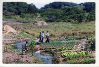 Ouro Verde Sitio Paraguai 1999 001