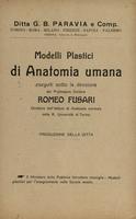 SCIENZE - Modelli plastici di anatomia umana