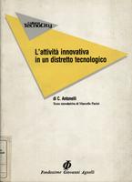 L'attività innovativa in un distretto tecnologico