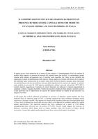 Il comportamento ciclico dei margini di profitto in presenza di mercati del capitale meno che perfetti: un'analisi empirica su dati di impresa in Italia (Capital markets imperfections and markups cyclicality: an empirical analysis on firm level data in It