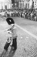 Grande parata di bande militari europee in Piazza San Carlo