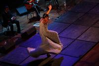 'Andalusia: flamenco gitano''