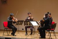 Il Quatuor Diotima durante l'esibizione