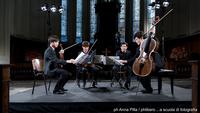 Il Novus String Quartet per MITO Settembre Musica 2018