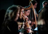 Danzare nel medioevo - Ensemble di Musica Medievale della Civica Scuola di Musica Claudio Abbado di Milano