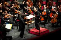 Balletti russi - Marin Alsop dirige la Royal Philharmonic Orchestra. Sergej Krylov al violino