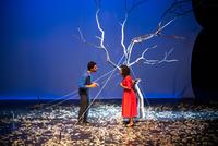 I canti dell'albero - Controluce Teatro d’Ombre