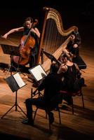 IMPRESSIONI - Tommaso Lonquich, clarinetto