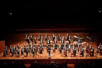 PROGRESSO - Orchestra Teatro Regio Torino