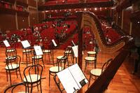 LUCI BRASILIANE – La sala