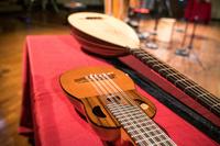 LUCE VIOLA – Strumenti