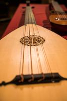 LUCE VIOLA – Strumenti