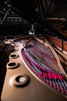 IL PIANOFORTE DI BRAHMS – Il pianoforte