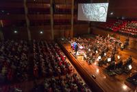 Orchestra e Coro del Teatro Regio diretti da Dante Anzolini nella rappresentazione di ''Akhnaten'' di Philip Glass