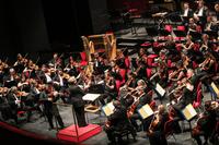 Balletti russi - la Royal Philharmonic Orchestra diretta da Marin Alsop. Al violino Sergej Krylov