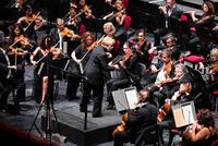 Mitteleuropa - Orchestra Teatro Regio Torino, Marin Alsop direttore