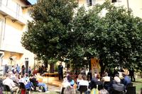 Conferenza stampa di presentazione MITO per la città